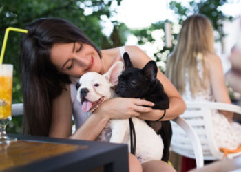 Роскачество распространит стандарт pet-friendly на кафе и рестораны 