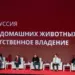 Ветклиникам предложили вести учет домашних животных