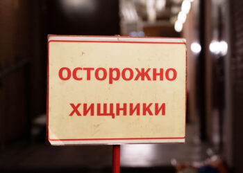 Народный фронт призвал доработать закон о реабилитации диких животных из-за риска передачи хищников людям