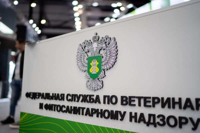 Рабочая группа во главе с Данквертом проведет проверку в Новосибирской области