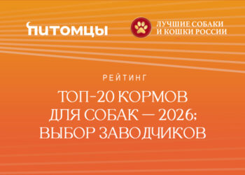 Рейтинг. Топ-20 кормов для собак — 2026: выбор заводчиков