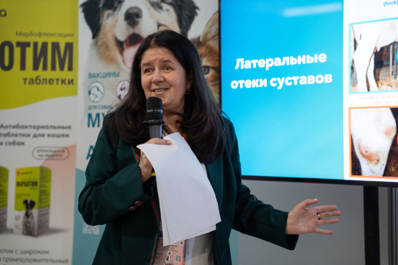 Асимметрия костей, стресс и больные почки: эксперты &mdash; о проблемах содержания кур
