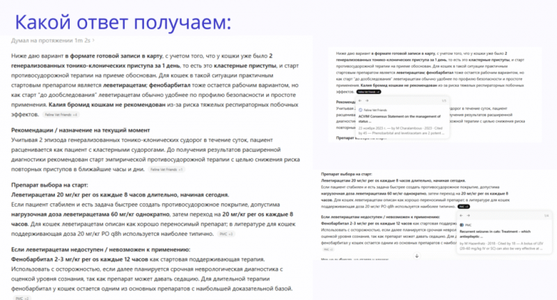 Почему ИИ по-разному отвечает на один и тот же запрос: как ветеринару ставить задачи нейросети