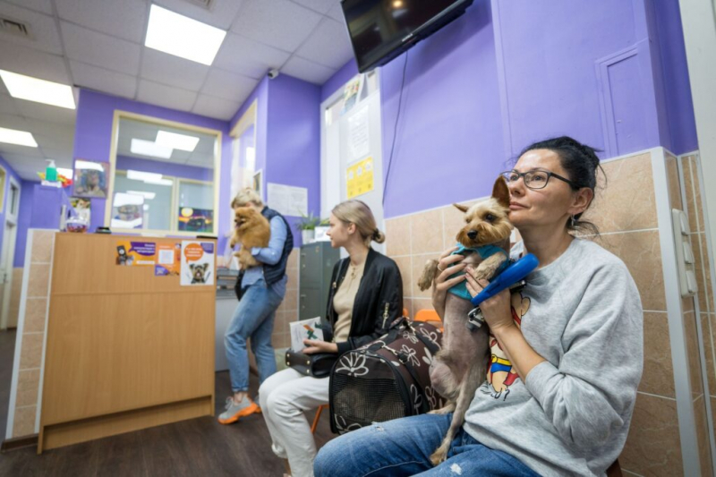 Случай из практики: как я чуть не потеряла собаку и щенков из-за кусочка яблока