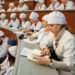 Ветеринарное образование в России планируют разделить по направлениям