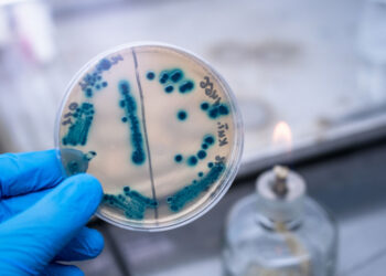 Антибиотики, ферменты, витамины: биотехнологии в РФ получили новый ГОСТ