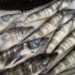 Экспорт: еще более 28 тыс. тонн рыбопродукции оформили в Сахалинской области