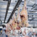 ЕС отказался от импорта мяса из Бразилии из-за антибиотиков