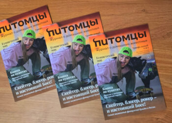 Скейтеры, покорители гор и балерины: встречайте героев свежего номера «Питомцев»