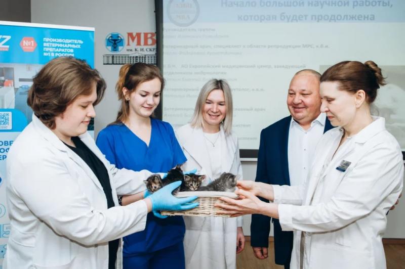 В Москве показали первых котят из пробирки &mdash; фоторепортаж