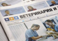 Донорство крови, эмбриотрансфер у кошек и вакцинация рыбы — в свежем номере «ВиЖ»