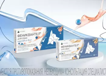 «Фениквантел»: как защитить собаку от гельминтов и лямблий