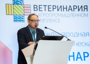 Казахстан и Узбекистан делают ставку на производство говядины, в РФ отрасль сталкивается с нехваткой инвестиций