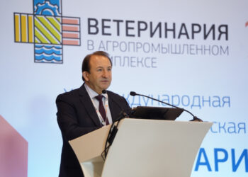 Производство свинины в России по итогам 2026 года вырастет на 1–2% — НСС
