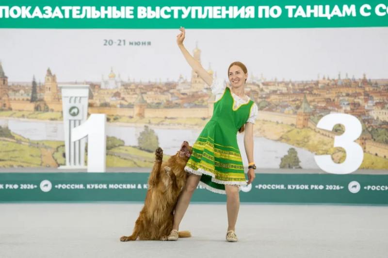 В объективе &mdash; лучшие собаки страны: фоторепортаж с выставки &laquo;Россия-2026&raquo;
