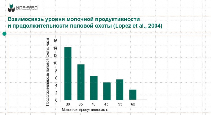 Ветеринарный протокол после отела: как хозяйству сохранить продуктивность коровы