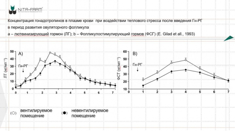 Ветеринарный протокол после отела: как хозяйству сохранить продуктивность коровы