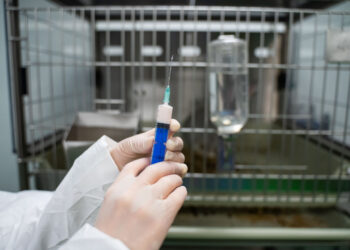 Иммунитет против лептоспироза измерят по-новому: методику разработают к 2027 году