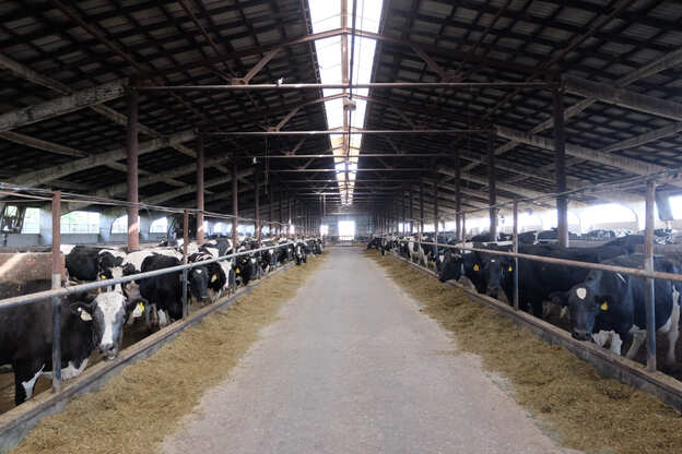 Как работает принцип &laquo;пусто &mdash; занято&raquo;: 7 главных правил