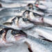Камчатка в июне отправила на экспорт более 7 тыс. тонн рыбопродукции