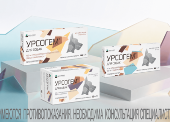 Печень под двойной защитой: почему гепатопротекторы без желчегонного компонента работают не в полную силу