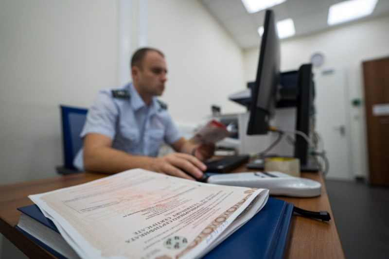 Разбор ошибок. Госветврачей с августа будут строже наказывать за&nbsp;нарушения в учете животных