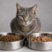 Рынок меняет консистенцию: производство влажных кормов в России растет почти втрое быстрее сухих