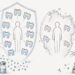 Иммунологи выяснили, почему люди по-разному реагируют на одну и ту же инфекцию