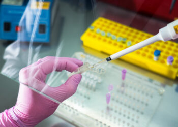 Эксперт назвала три главных вектора повышения продуктивности в молочном животноводстве