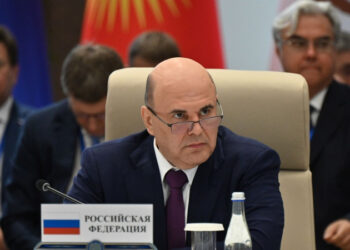 Мишустин призвал развивать производство ветпрепаратов в ЕАЭС