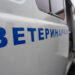 Почему ветеринария становится призванием: истории из жизни 