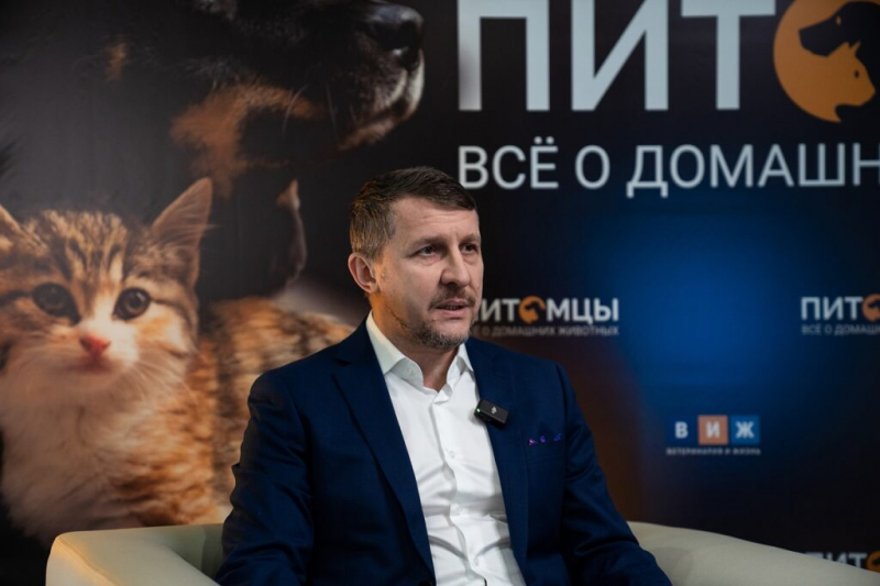 Почему ветеринария становится призванием: истории из жизни&nbsp;