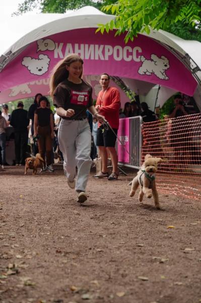Путешествие в Петландию: на фестивале Petshop Days создадут целый город для питомцев