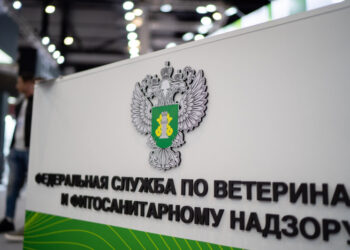 Россельхознадзор предупредил об мошеннических рассылках