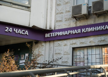 Суд оштрафовал ростовскую ветклинику за продажу ветпрепаратов без лицензии 
