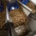 В четырех крупных сетях Костромской области нашли молочную продукцию и корма для животных с аннулированными ВСД