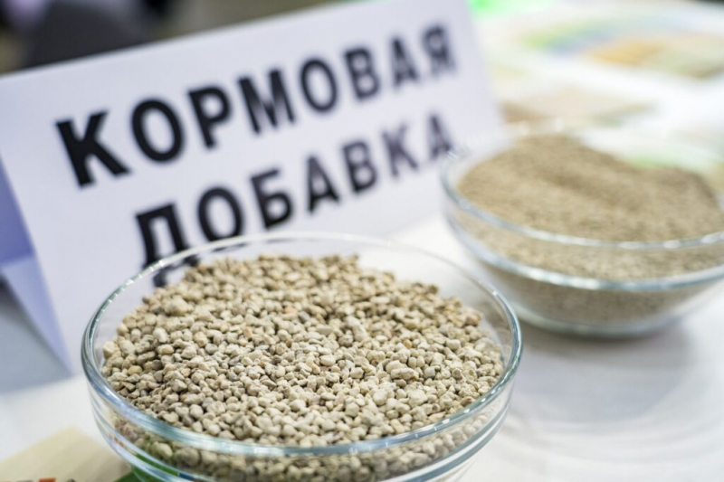 Эксперты назвали минералы, которые ускоряют рост молодняка