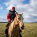Почесать шею лошади полезнее, чем просто погладить по спине —  исследование