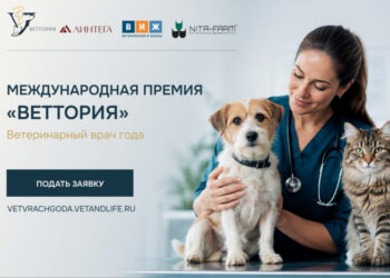 Премия «ВЕТТОРИЯ» для ветспециалистов: кто может участвовать и как подать заявку
