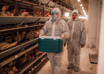 Россельхознадзор обнаружил грипп птиц в продукции из Узбекистана 