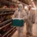 Россельхознадзор обнаружил грипп птиц в продукции из Узбекистана 